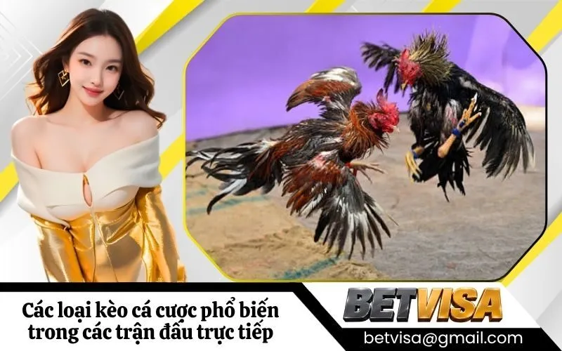 Các loại kèo cá cược phổ biến trong các trận đấu trực tiếp