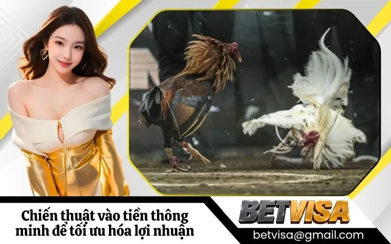 Chiến thuật vào tiền thông minh để tối ưu hóa lợi nhuận