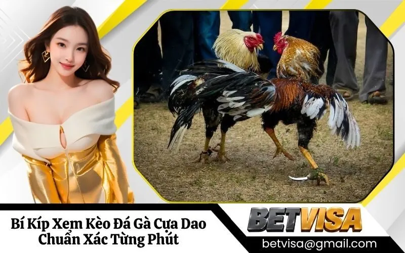 Đá Gà Cựa Dao