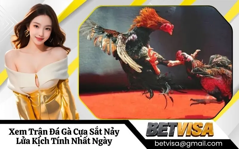 Đá Gà Cựa Sắt