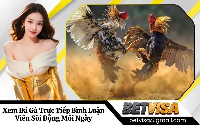 Đá Gà Trực Tiếp