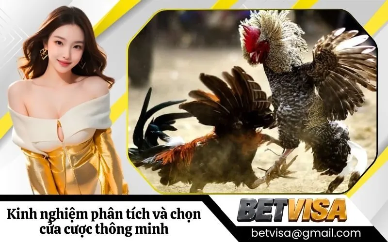 Kinh nghiệm phân tích và chọn cửa cược thông minh