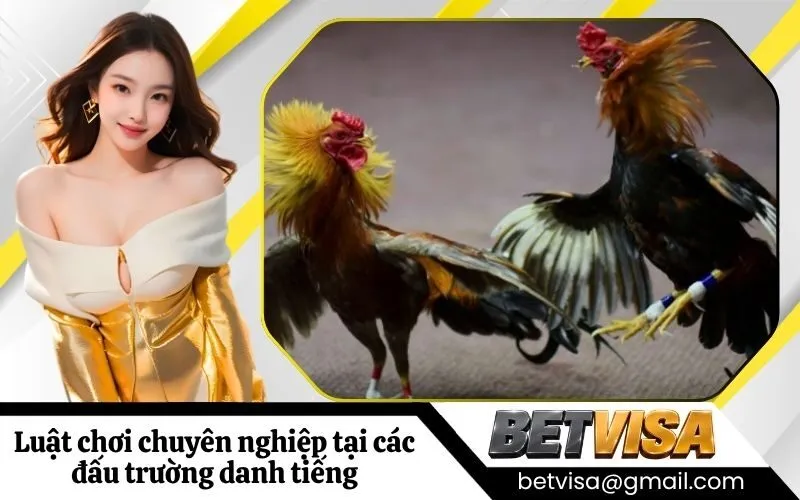 Phân tích luật chơi chuyên nghiệp tại các đấu trường danh tiếng