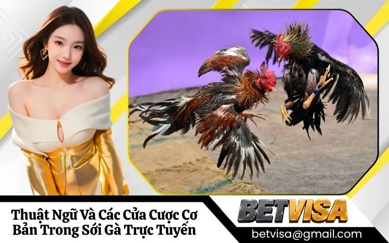 Thuật Ngữ Và Các Cửa Cược Cơ Bản Trong Sới Gà Trực Tuyến