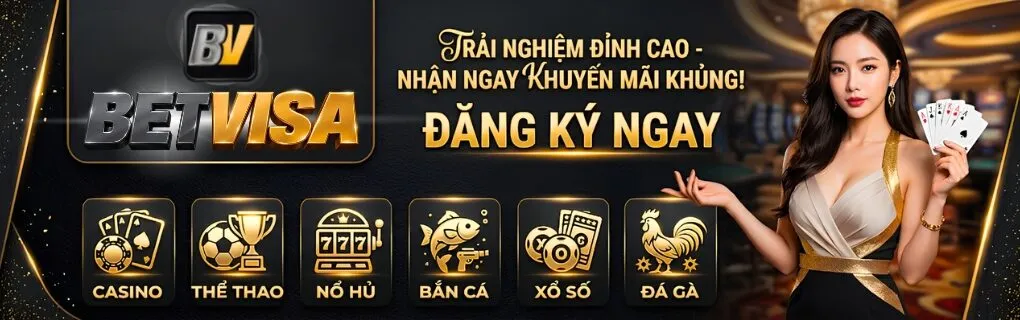 banner BETVISA